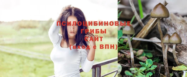 мескалин Аркадак