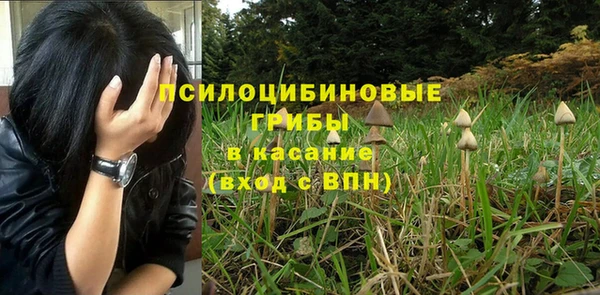ешки Армянск
