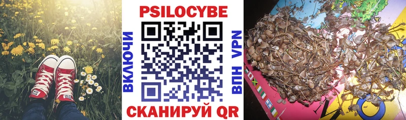 Галлюциногенные грибы Magic Shrooms  где продают   Фатеж 